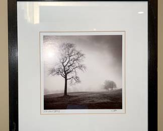 Calvo wall decor (one of three)