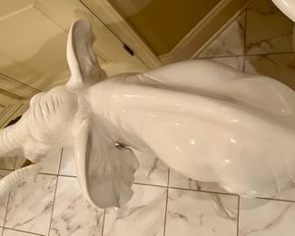 Top view of elephant