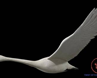 Original Hand Carved Flying Trumpeter Swan by PAUL A. JOHNSGARD