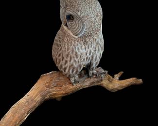 Original Hand Carved Great Gray Owl by PAUL A. JOHNSGARD