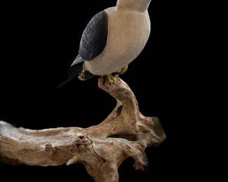 Original Hand Carved Swallow-Tailed Kite by PAUL A. JOHNSGARD