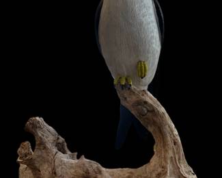 Original Hand Carved Swallow-Tailed Kite by PAUL A. JOHNSGARD