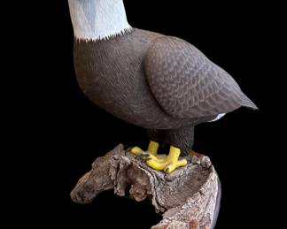 Original Hand Carved Bald Eagle by PAUL A. JOHNSGARD - Previously on Display National Bank of Commerce in Lincoln Nebraska