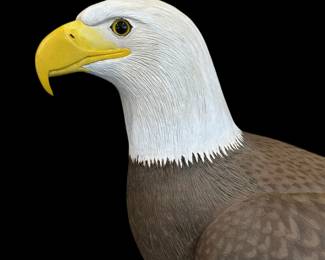 Original Hand Carved Bald Eagle by PAUL A. JOHNSGARD - Previously on Display National Bank of Commerce in Lincoln Nebraska