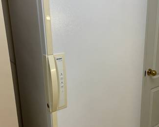 Upright freezer