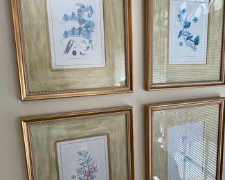 Botanical engravings