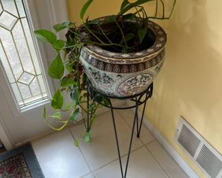 Live plant, and plant stand