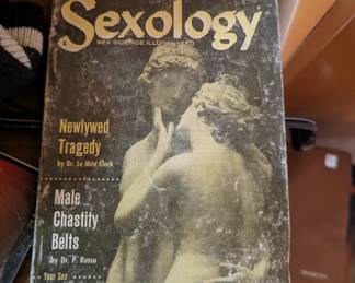 Male Chastity belts, I'm curious...