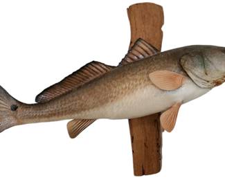 Taxidermy Mounted Bass