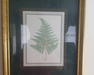 Framed picture of fern - 1 of 2