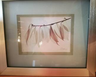 Botannical print - signed A Kohn