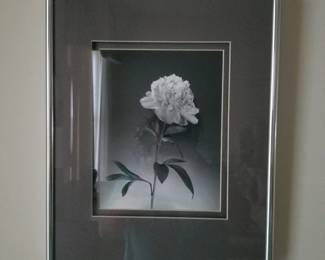 Framed flower print - 2 of 2