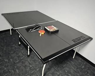 ESPN PING PONG TABLE
