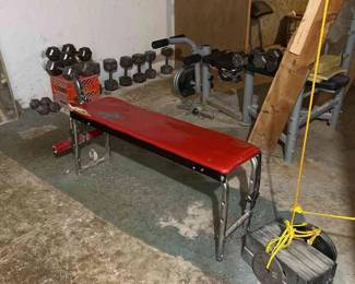 Assorted Free Weights