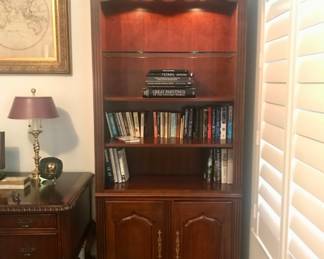 Pair of Lighted Bookshelves with lower Cabinets