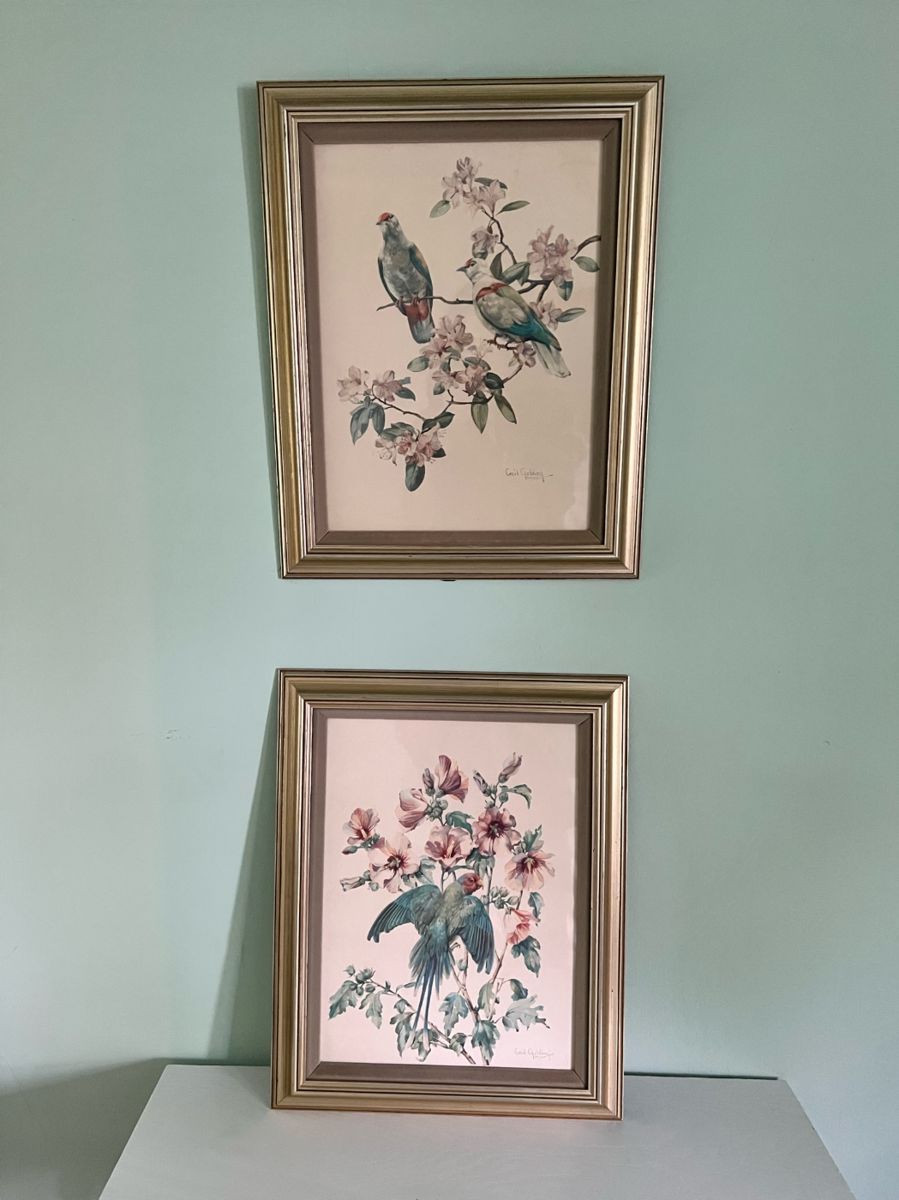 Two Prints by Cecil Golding - Doves & Parrot