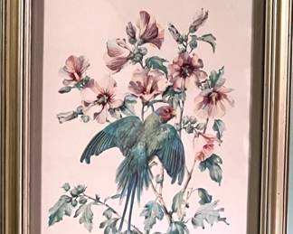 Print of Parrot by Cecil Golding