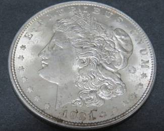 over 30 silver dollars