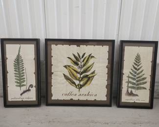 Set of Three Framed Leaf Themed Prints