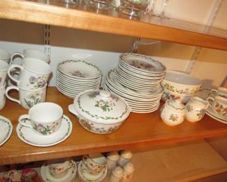 Noritake Casual Gourmet Garden china set