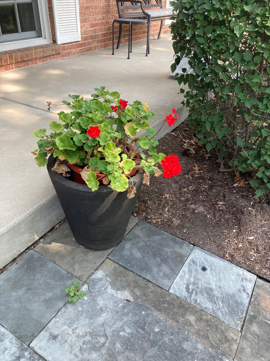 Oak Brook Estate Sale starts on 9/14/2023