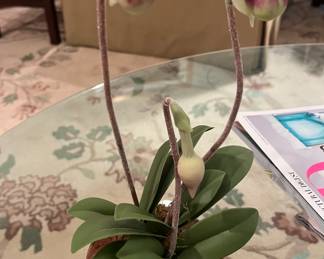 The most "real" fake orchids I have seen.  They nest in a burled wooden tiny vase.
