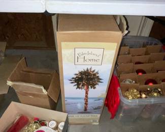 Florida Christmas tree. 