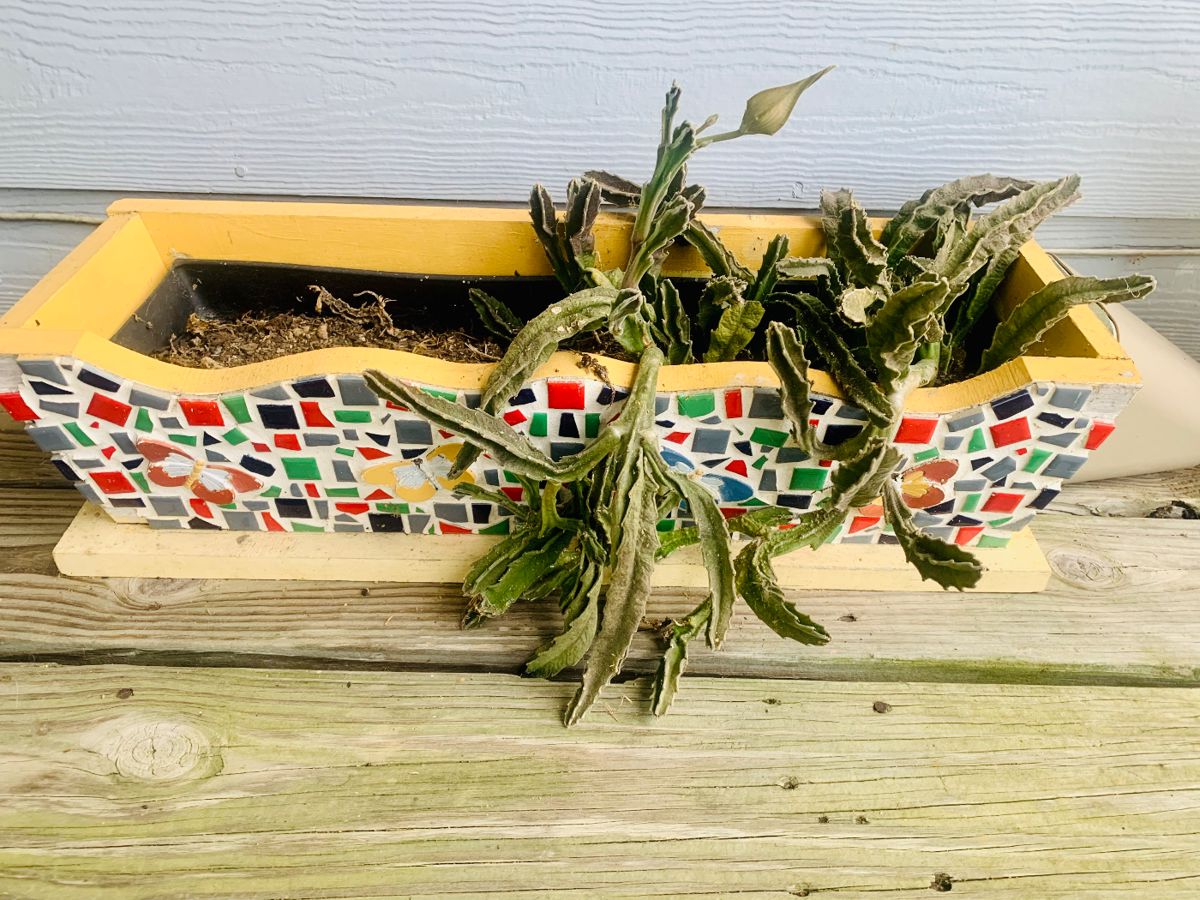 Shelby Forest Estate Sale in Millington, TN starts on 9/15/2023