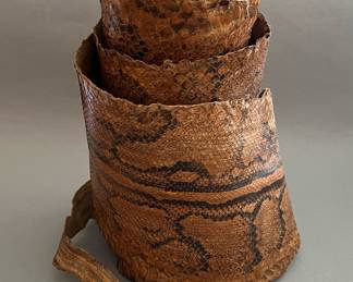 Large Python Snake Skin