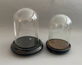 Vintage Glass Domes