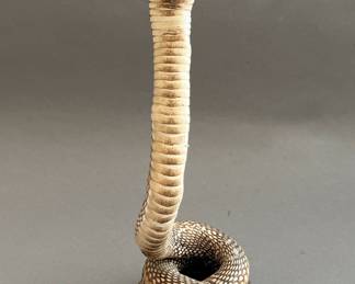 Taxidermy Cobra Snake