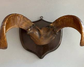Mounted Ram Horns