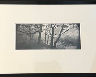 Black and White Framed Nature Photograph 