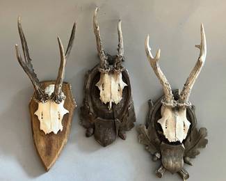 Austrian Black Forest Antler Mount Trophies (sold individually)