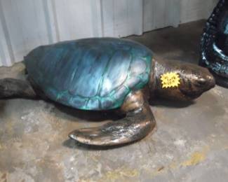 Turtles do bring good luck