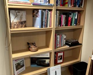 Two sturdy blonde bookcases. Edward Hopper. The Eiffel Tower. Gray's Anatomy...