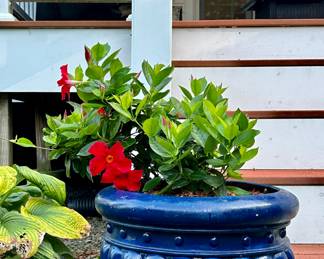(2) Lightweight Planters (cobalt blue)