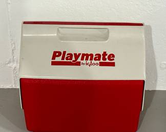 Igloo Cooler