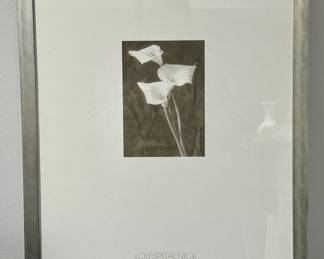 Lou Spitalnick Photography Print