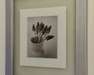 "Lavender" Photograph