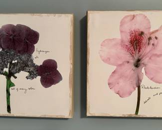 Hydrangeas & Rhododendron Stretched Canvas Prints