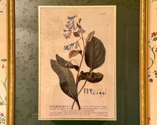 "Pvlmonaria" Floral Print