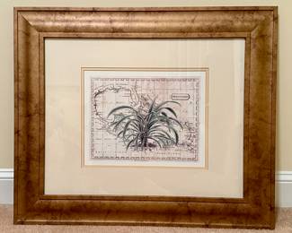 (2) West Indies Prints