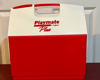 Playmate by Igloo Cooler