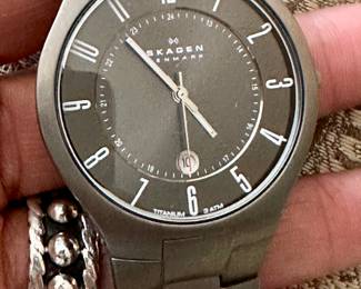 Skagen Denmark Watch