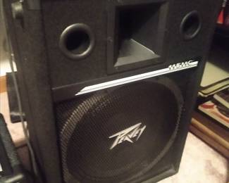 Peavey speaker R115HS