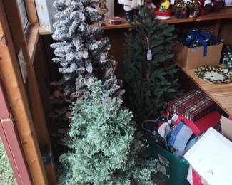 Three of 5 trees available