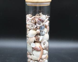 Assorted Shells and Coral in Glass Container
