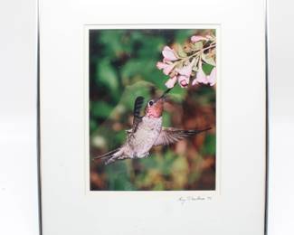 Framed Hummingbird Photography Art by Roy Dankman
