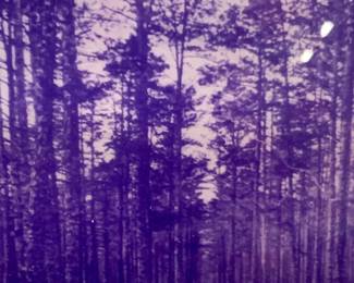 Framed LakeWood NJ Post Card Lithograph
